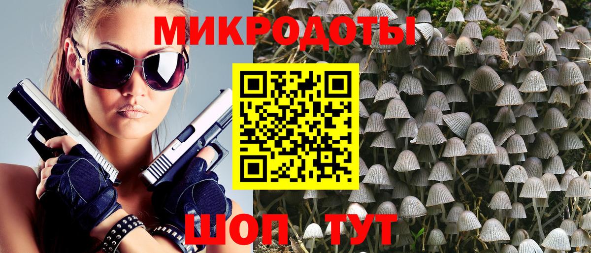 Псилоцибиновые грибы Cubensis Миллерово